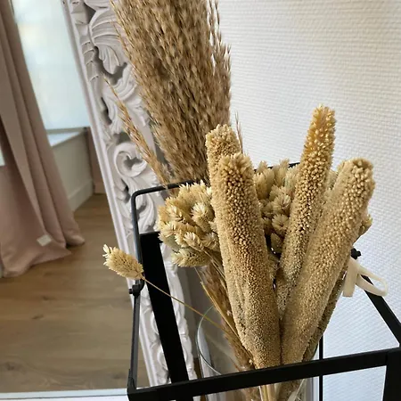 アパート Au Coeur Du Centre Historique De