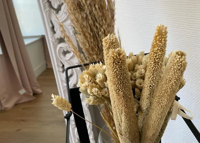 アパート Au Coeur Du Centre Historique De