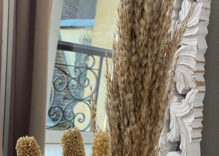 アパート Au Coeur Du Centre Historique De *